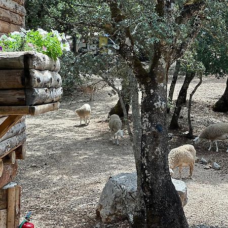 Hotel Rural Convento Santa Maria De La Sierra Арройо-Фрио Экстерьер фото